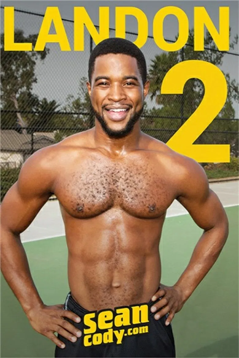 Landon 2 poster background