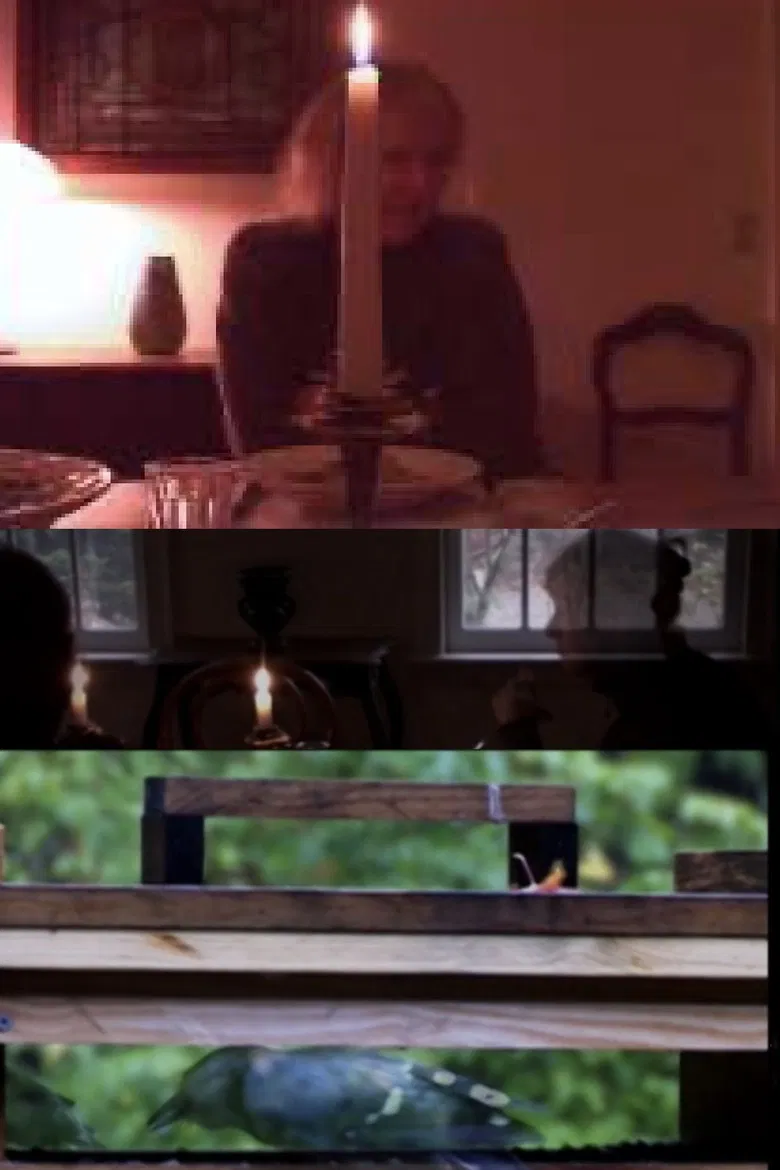 The Bird Feeders poster background