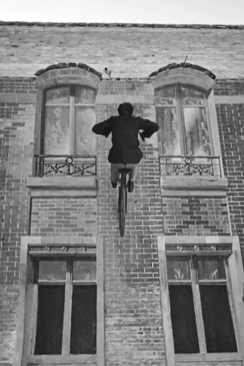 The Bicycle Robber poster background