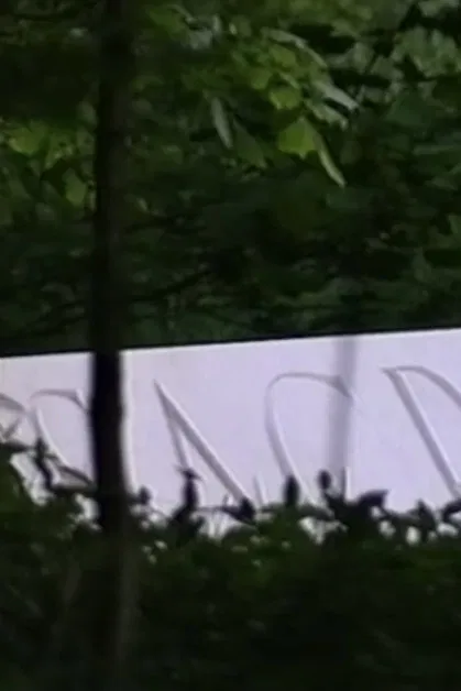 In Stillness and in Silence (Sacred) poster background