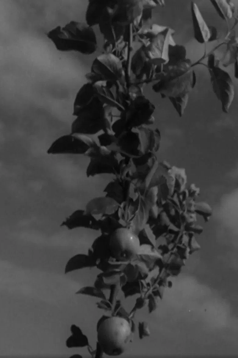 Ruhnu poster background