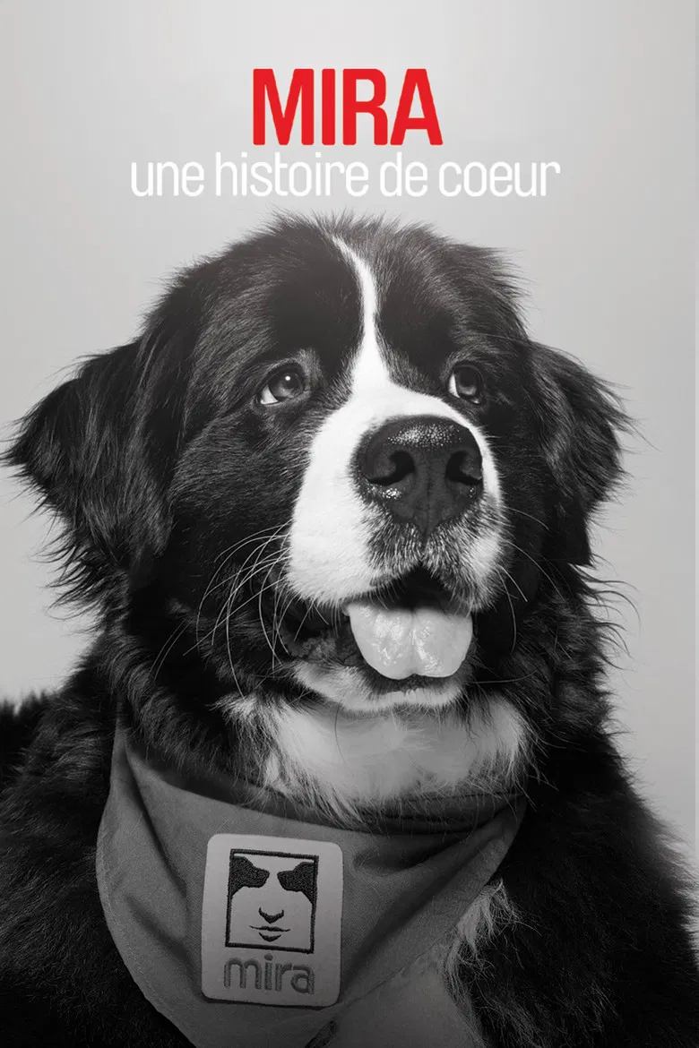 Mira, une histoire de cœur poster background