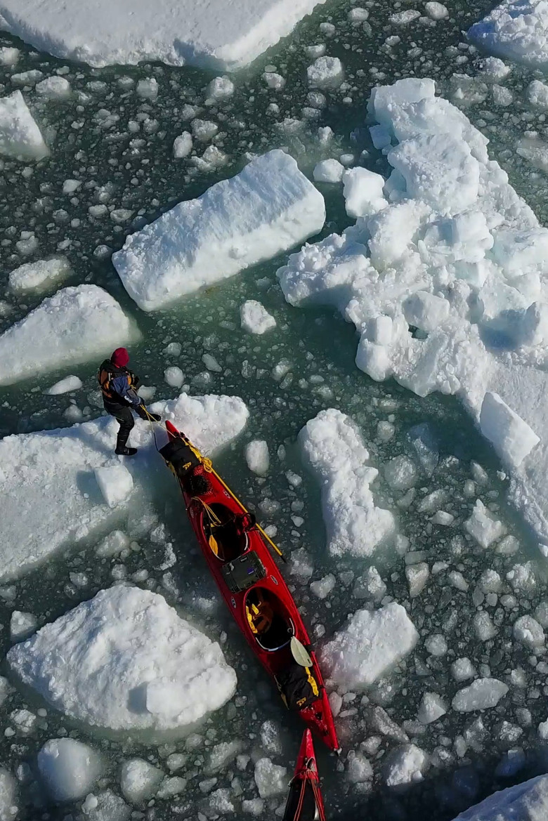 Albedo poster background