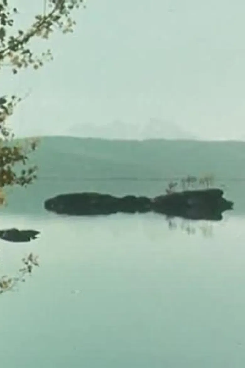 Destiny Beyond the Horizon poster background