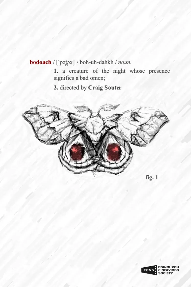 Bodoach poster background