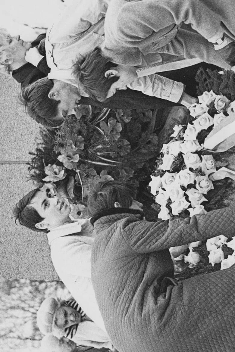 Frauen von Ravensbrück poster background