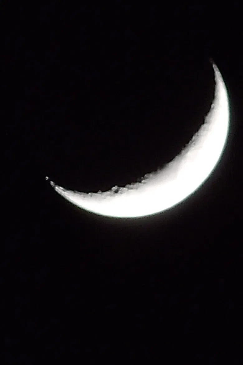 Lost on Arrival poster background