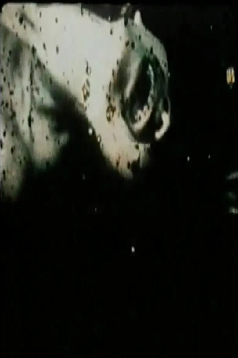 Love Reinvented poster background