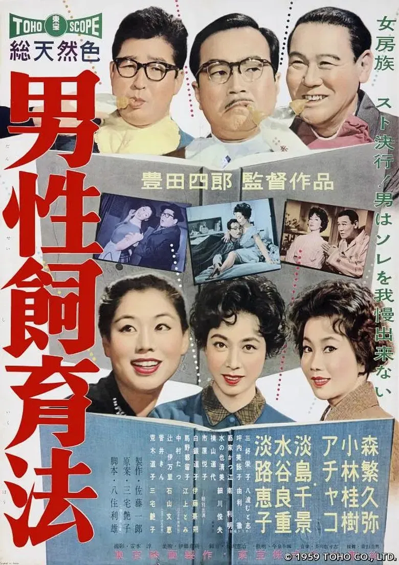 Bringing Up Husbands poster background