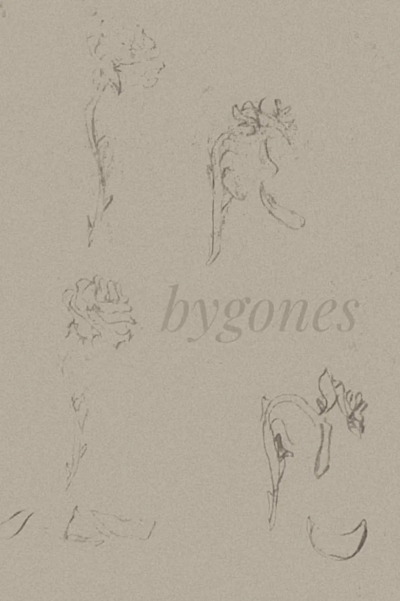 BYGONES poster background