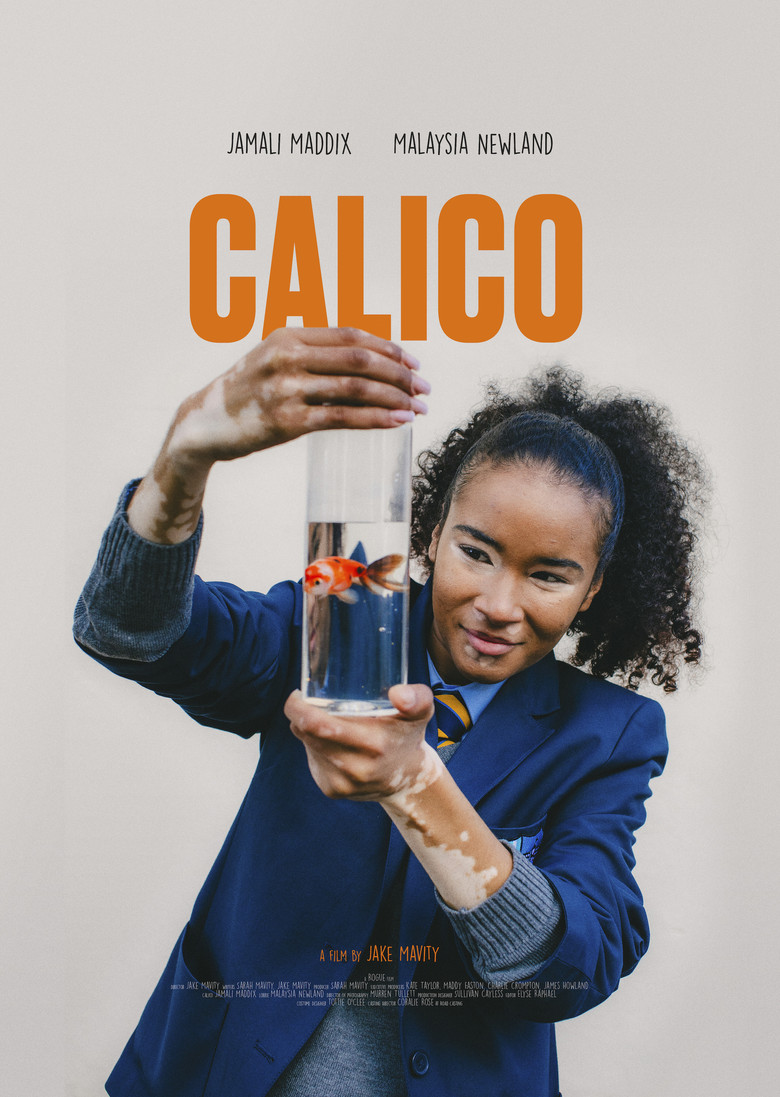 CALICO poster background