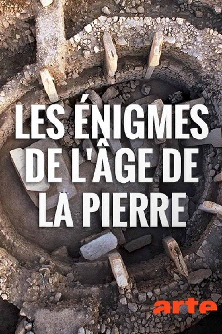 Rätsel der Steinzeit poster background