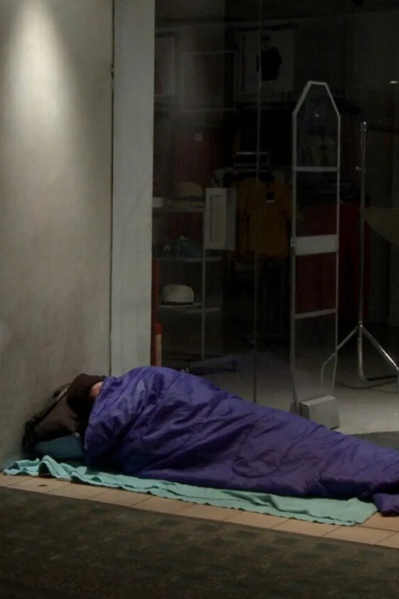 The Houseless Shadow poster background