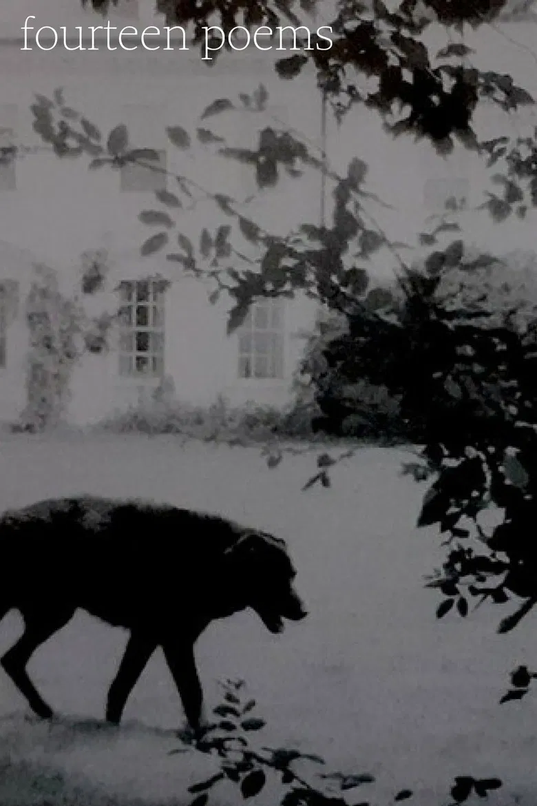 Fourteen poems poster background