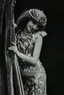 The Fantastic Iris poster background