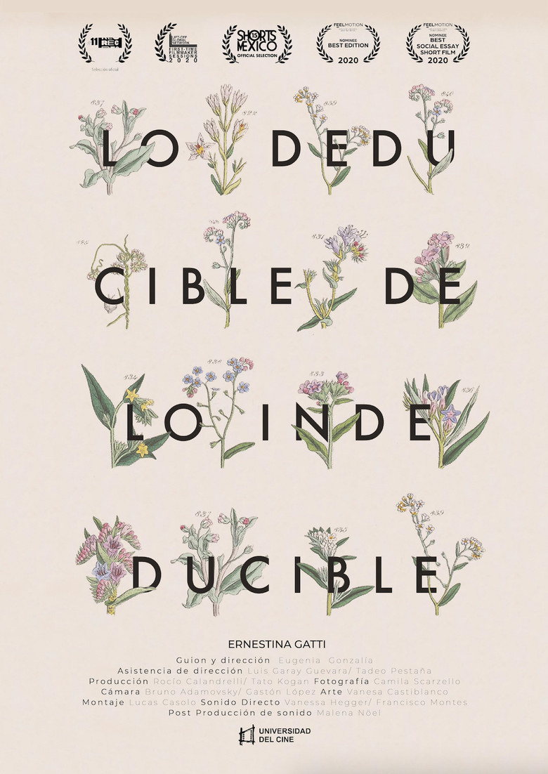Lo deducible de lo indeducible poster background