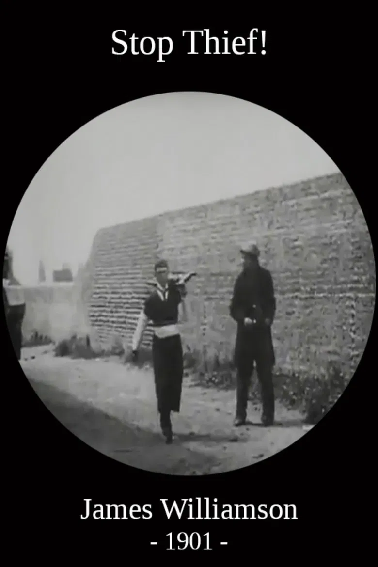 Stop Thief! poster background