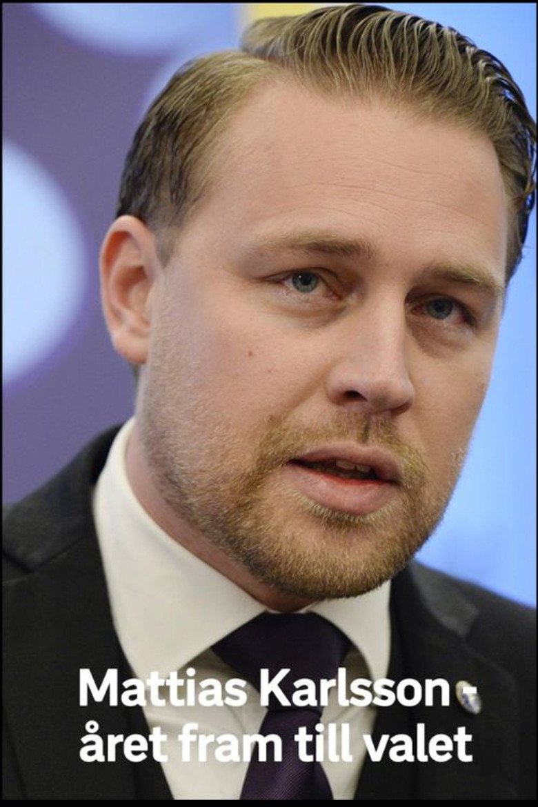 Mattias Karlsson: Året fram till valet poster background