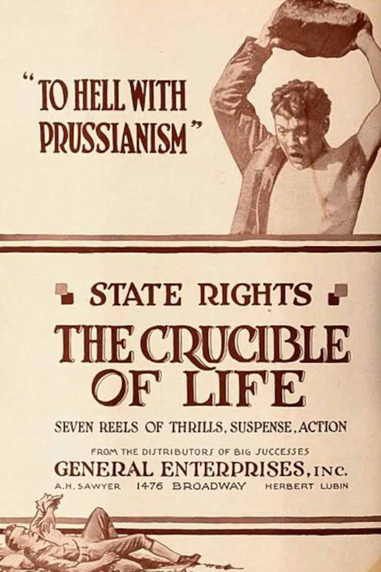 The Crucible of Life poster background