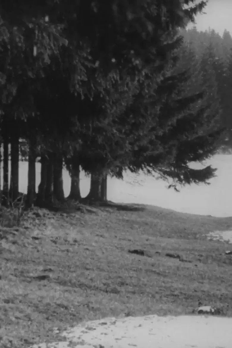 Ostern in Schwedt poster background