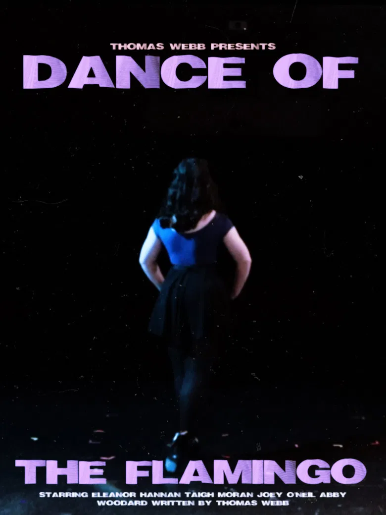 Dance of the Flamingo poster background
