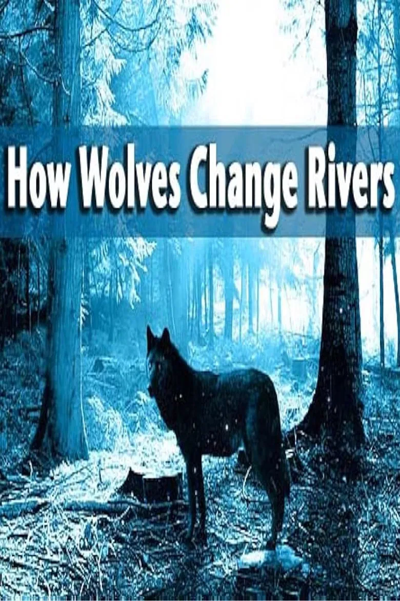 How Wolves Change Rivers poster background