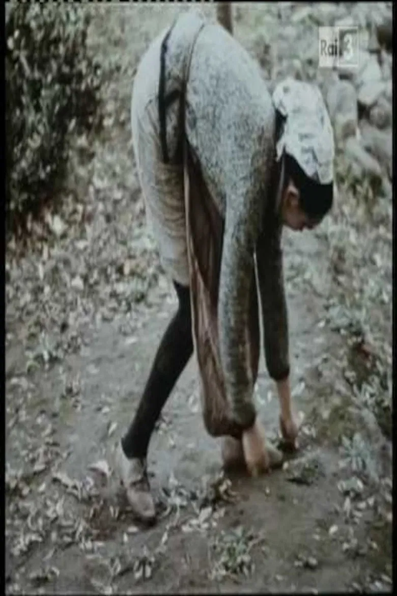 Tempo di raccolta poster background