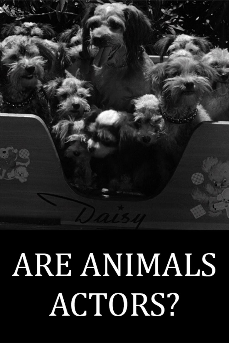Are Animals Actors? poster background
