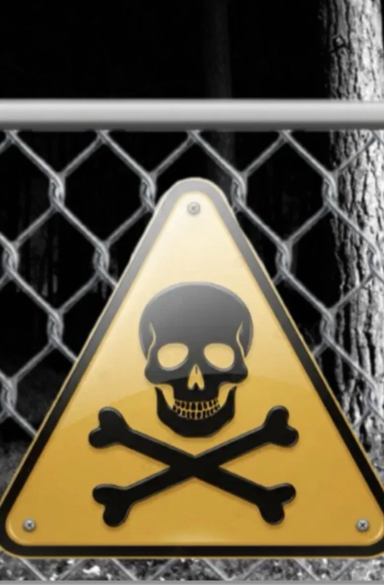 Influencer into the woods poster background