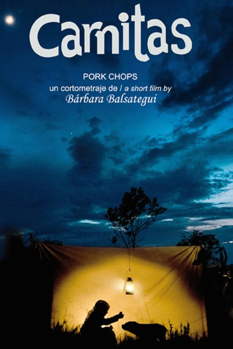 Carnitas poster background