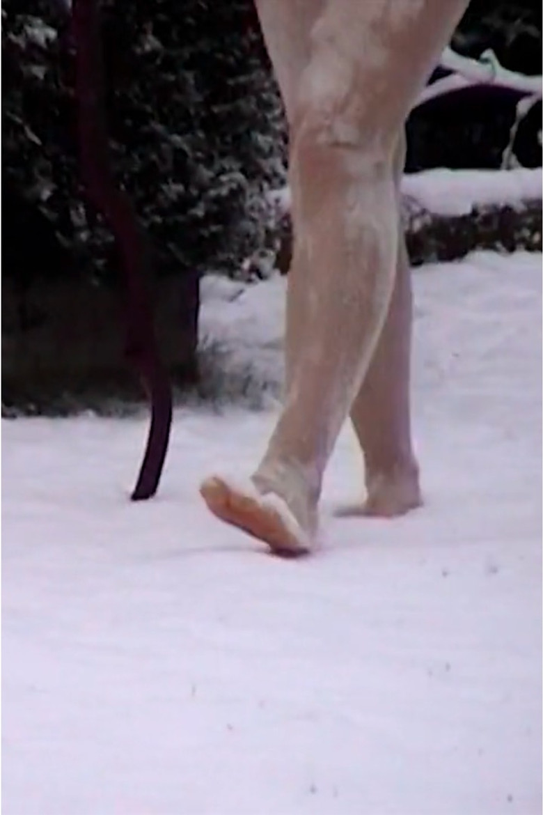 Walk poster background