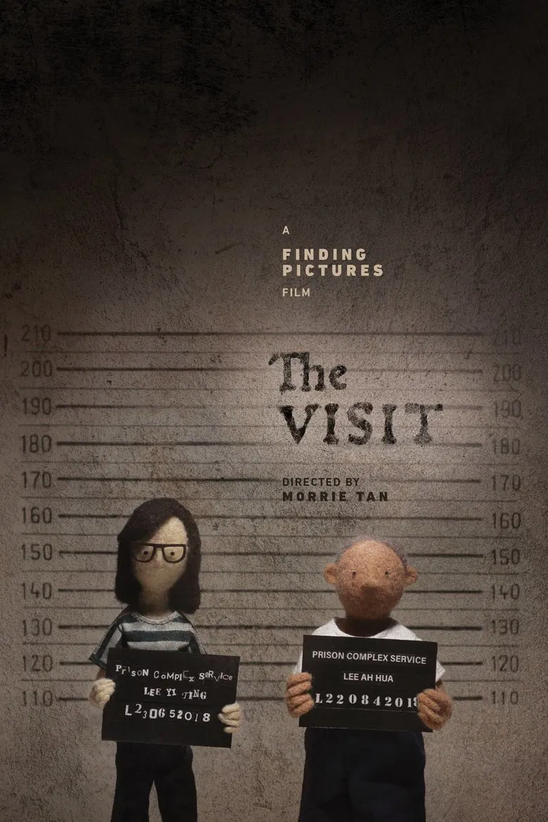 The Visit poster background