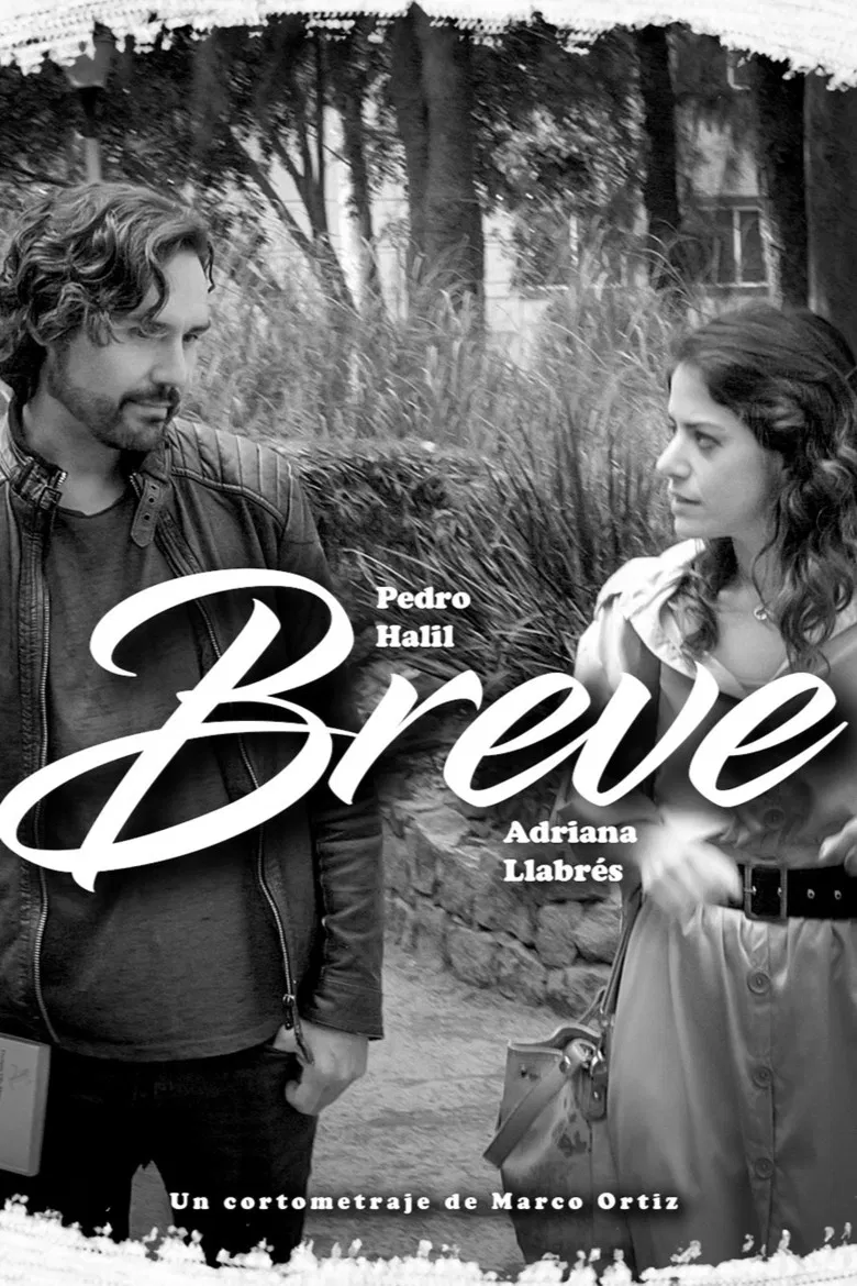 Breve poster background