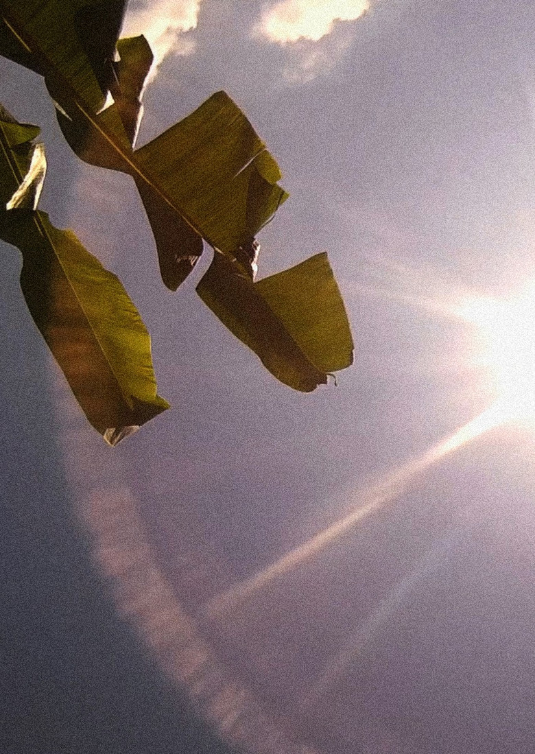 Amérika: Bahia de las Flechas poster background