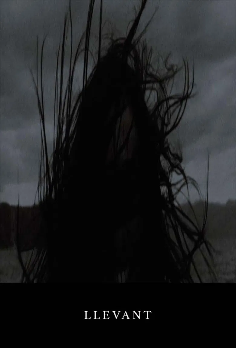 Llevant poster background