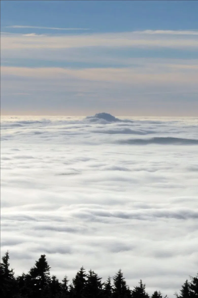 Waves poster background