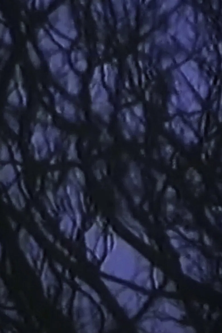 On the afternoon in LANGEL HANS Island poster background