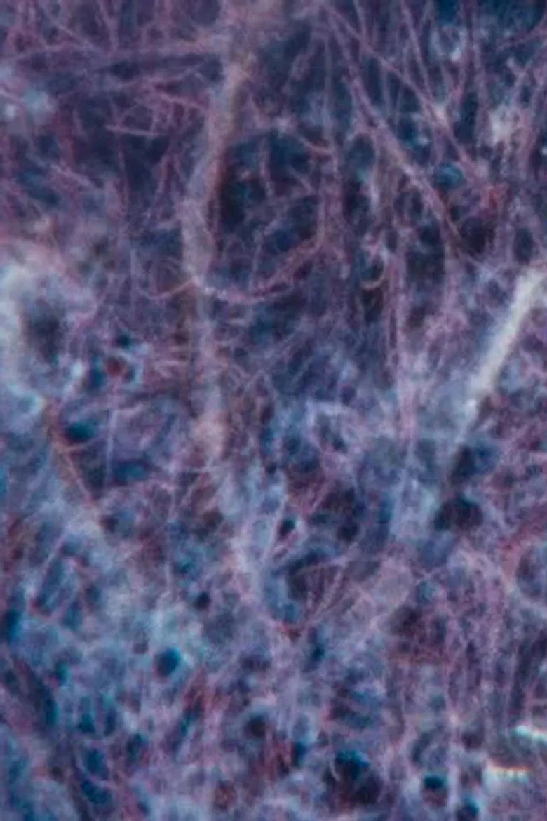 Ecosystem 7 ~ A sedimentary Heat poster background