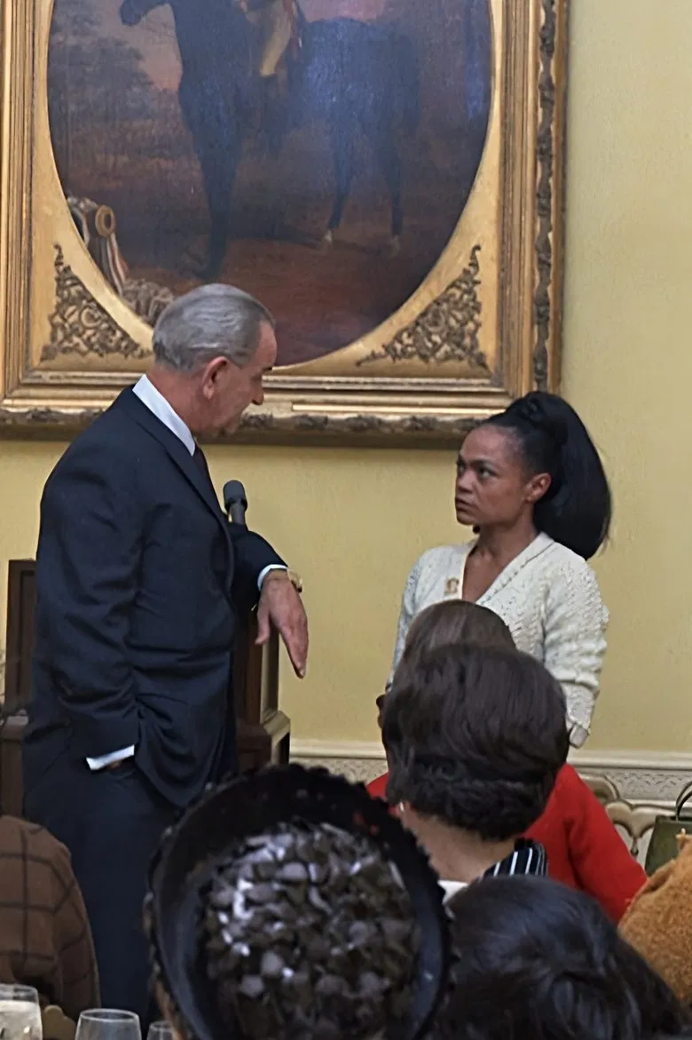 Catwoman vs. the White House poster background