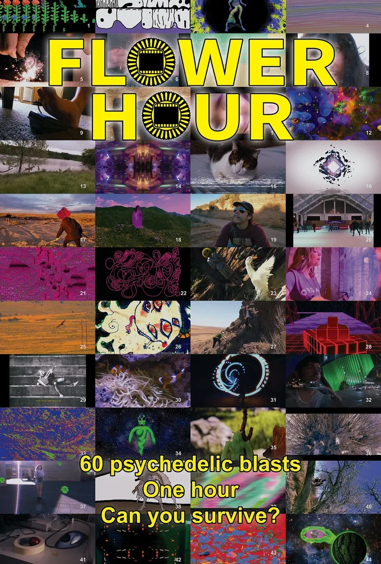FLOWER HOUR poster background