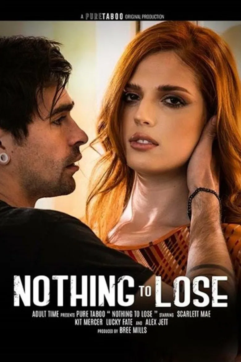 Nothing To Lose poster background