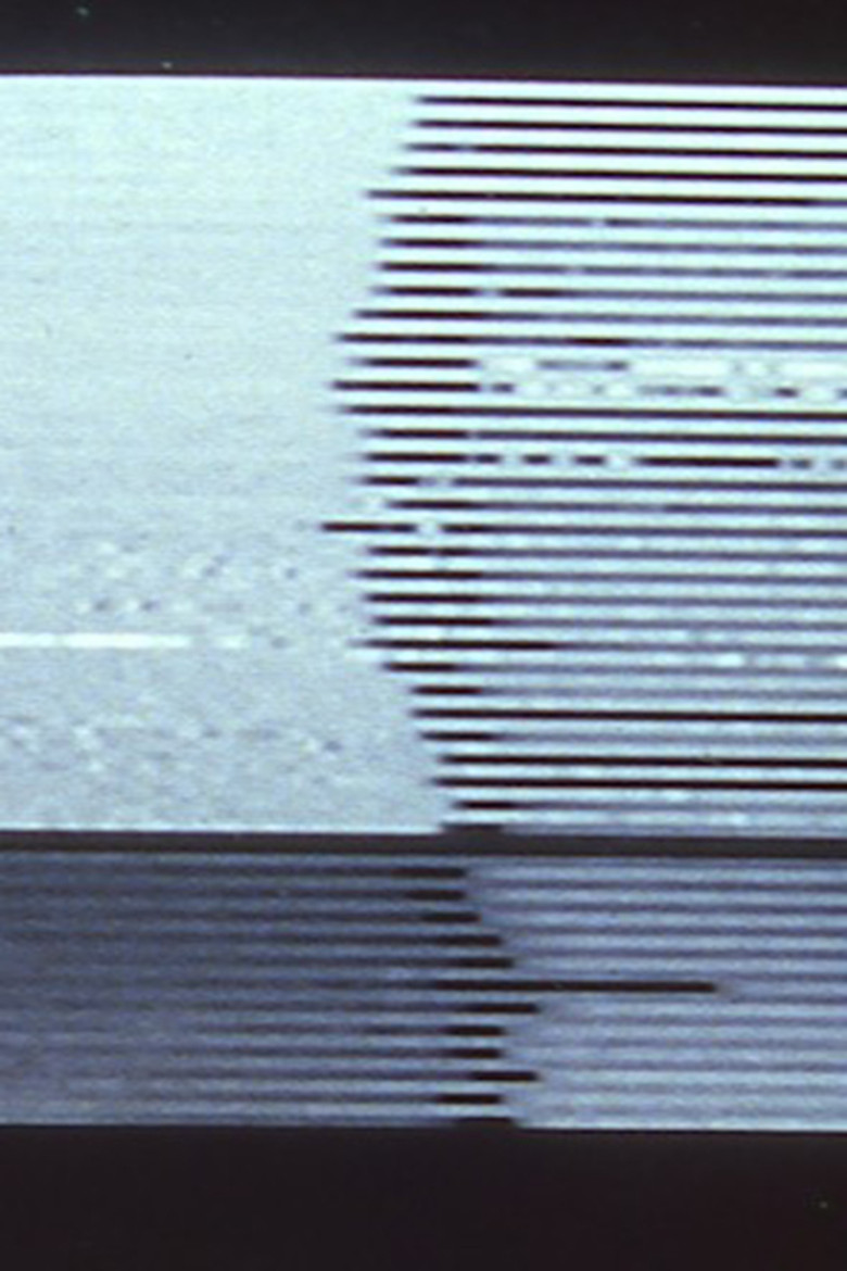 Stasis Series I & II I. Still Life; II. Papa's Garden poster background