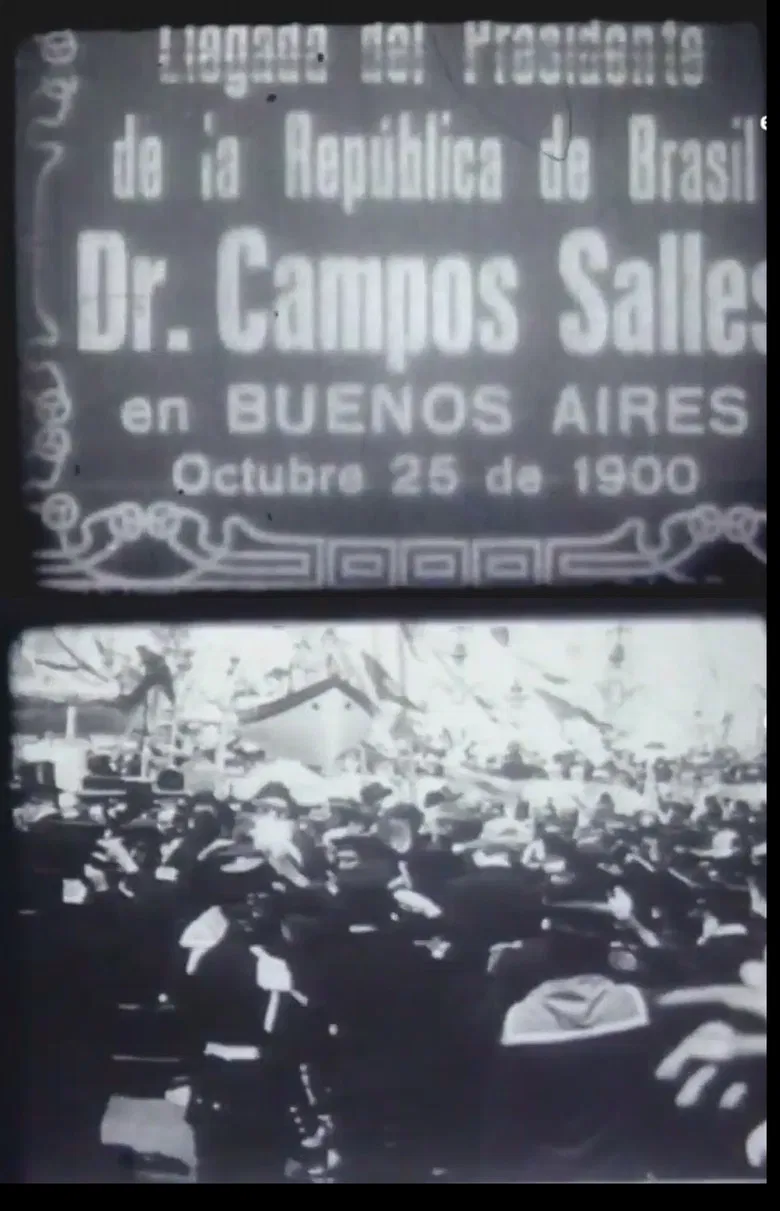 Llegada del Presidente de la República de Brasil Dr. Campos Salles en Buenos Aires poster background