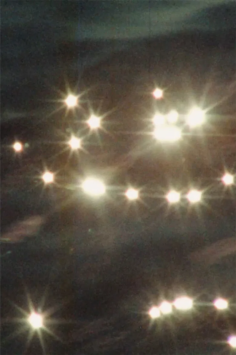 Whale Watch (1) poster background