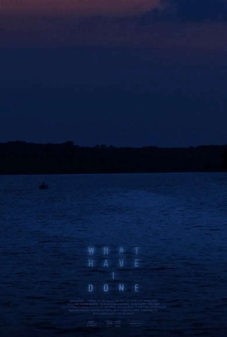 What Have I Done poster background