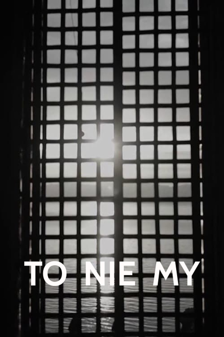 It's Not Us poster background