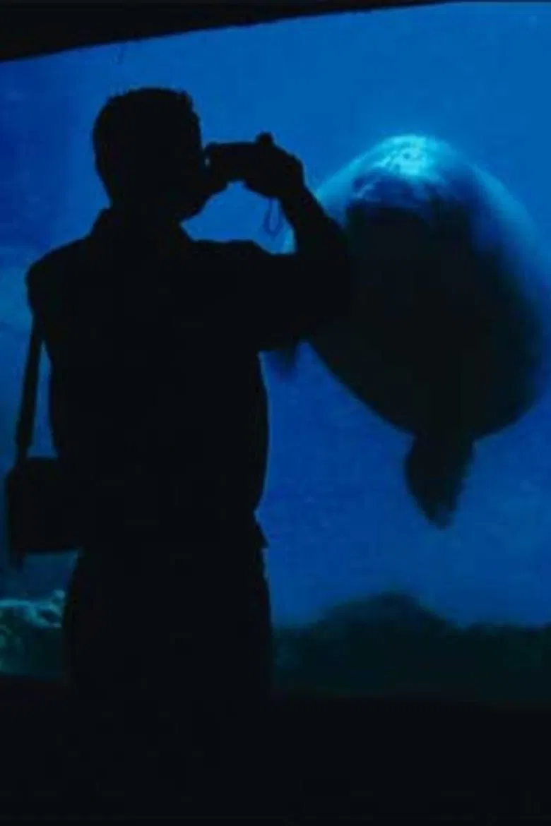 The Aquarium poster background