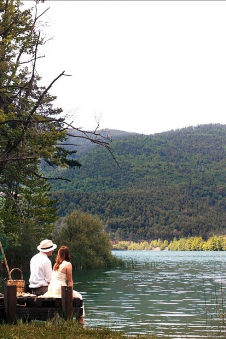 The Gull poster background