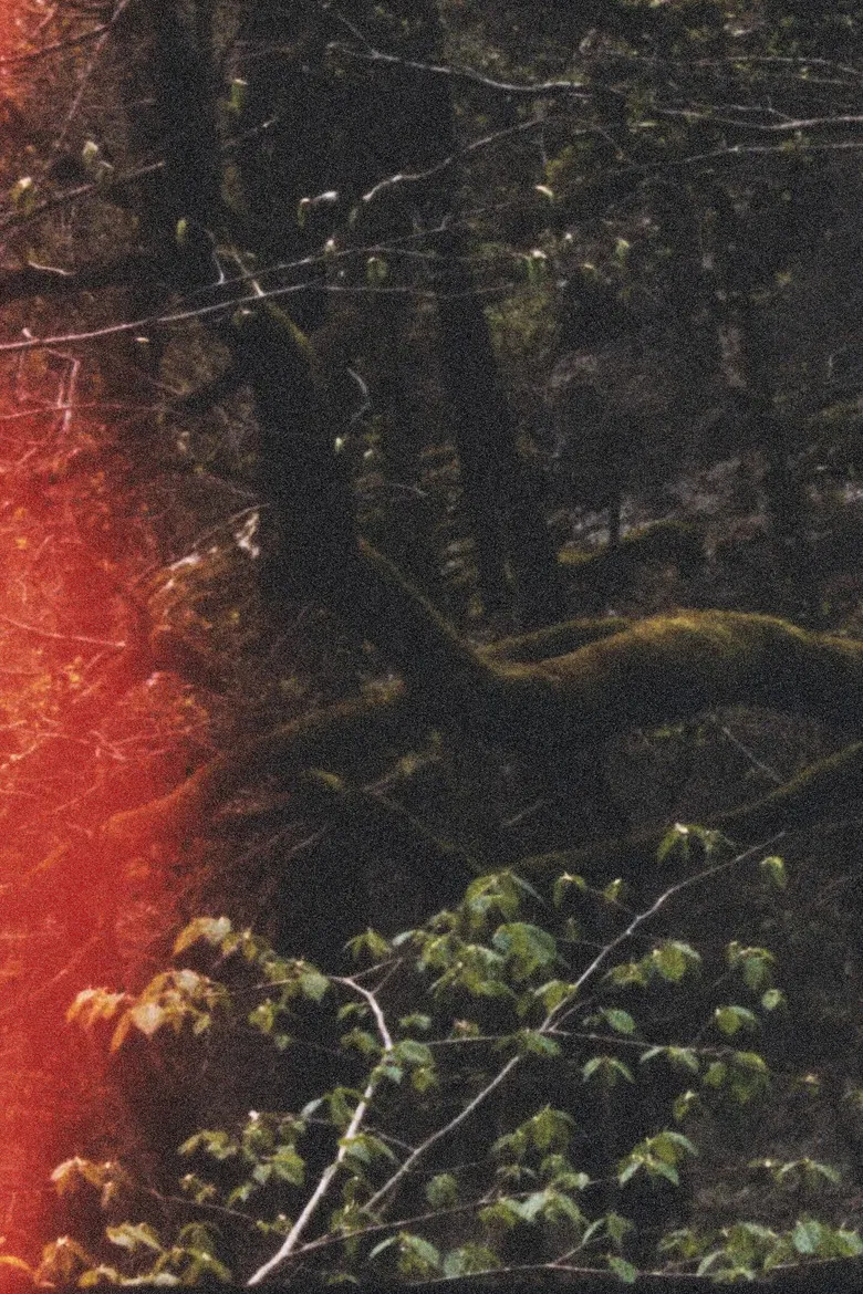 Haelgung - Rea poster background