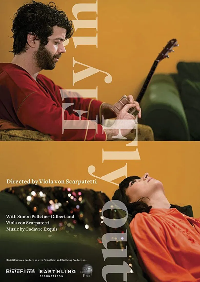 Fly In Fly Out poster background